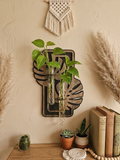 Monstera Leaf Propagation Station