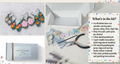 Garden Flower Earring Kit